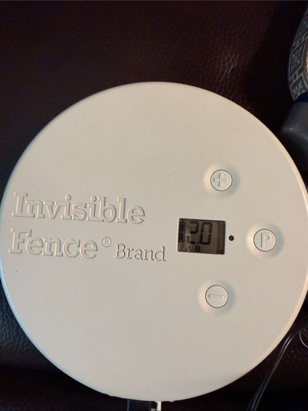 Invisible fence disk.